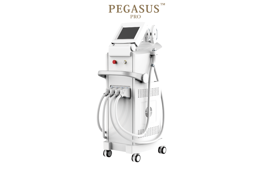 ペガサスプロ本体とロゴ