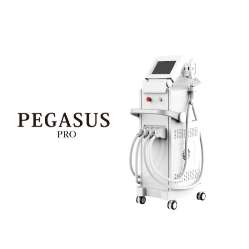 ラインアップ-ペガサスプロアイキャッチ816×550